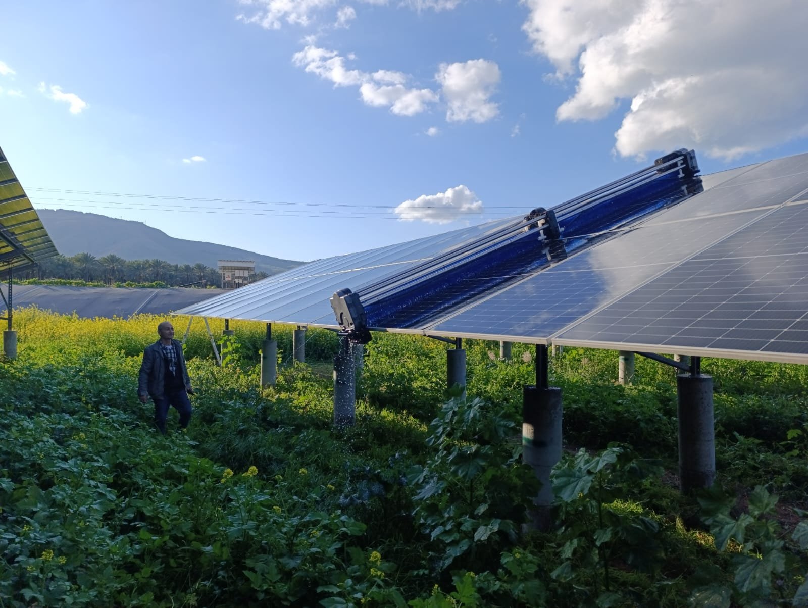 Automated solar cleaning robot installed on a commercial rooftop photovoltaic system in Dubai.